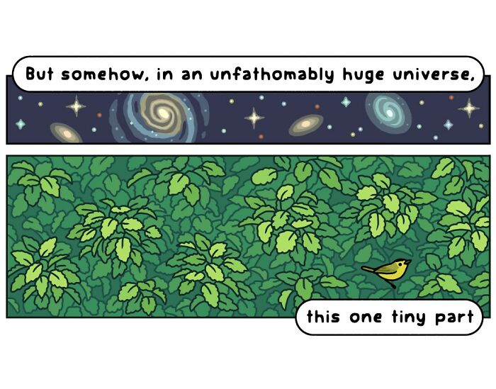 Cartoon of a person in a forest with text about looking for a tiny part of the universe, playful comics on nature and wildlife.