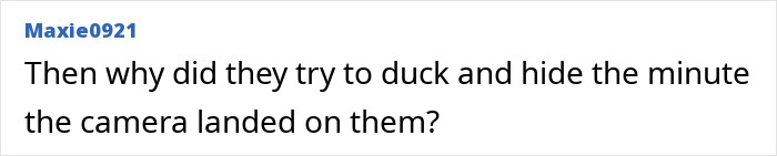 Comment text on a white background by user Maxie0921 questioning reaction to the Coldplay KissCam incident during a concert.