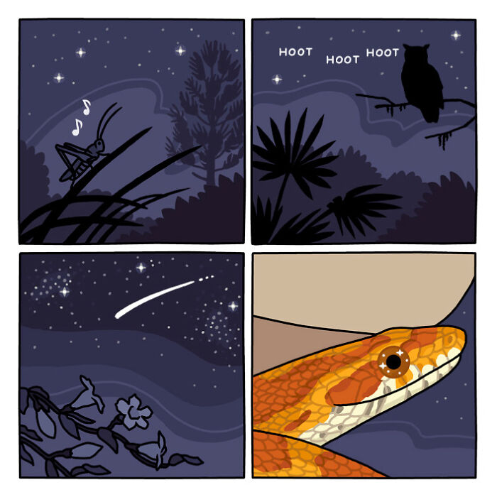 Woman driving at night through a forest road in a comic panel from playful nature and wildlife artwork series.