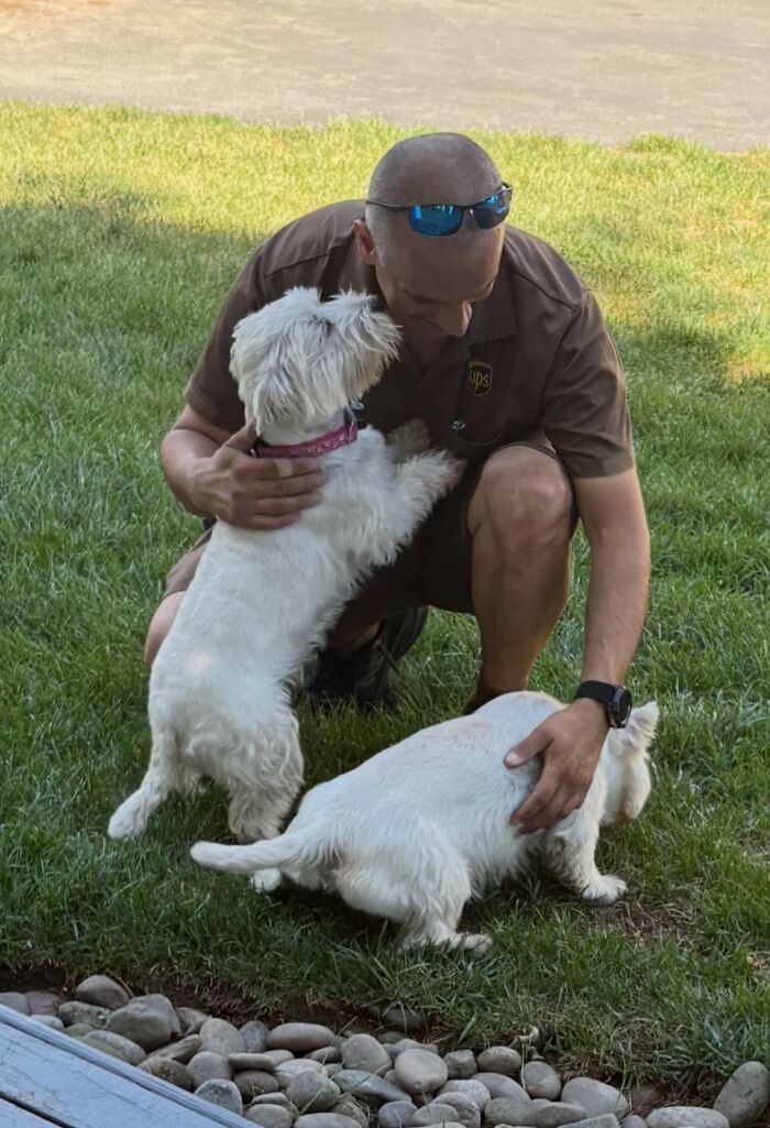 UPS driver kneeling on grass, petting two small adorable pets, a white dog and a white cat, outdoors by a path.