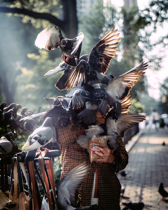 Person surrounded by pigeons with wings spread wide in a striking street photo that feels like a movie still.