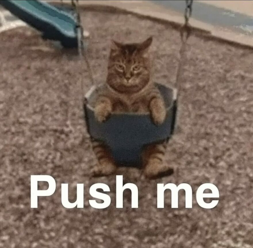 Tabby cat sitting in a child’s swing at a playground with caption push me, showing funny and adorable cat moments.