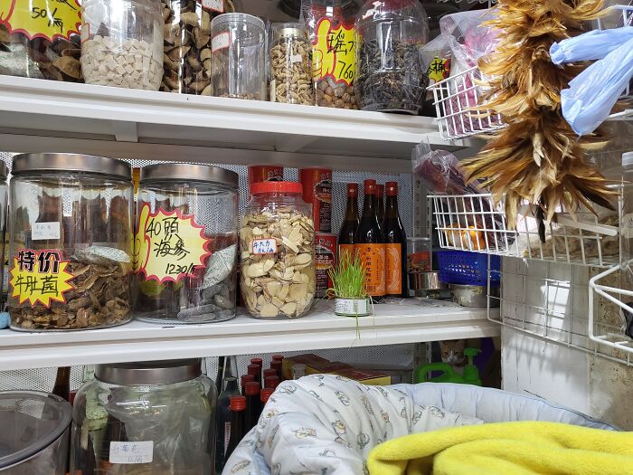 Cat blending seamlessly into background among jars and bottles on cluttered shelves in a store setting.
