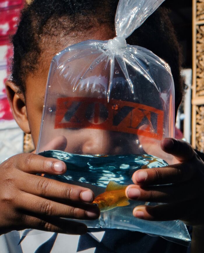 Child holding a clear plastic bag with water and a goldfish, vibrant street photo with cinematic feel.