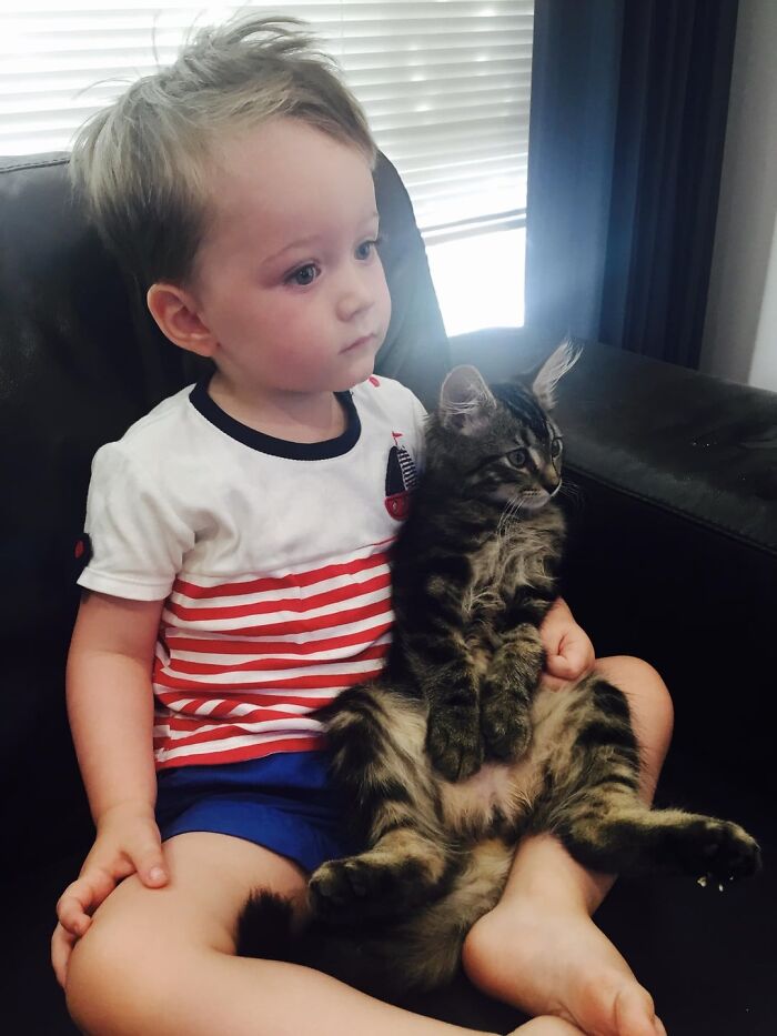 Young child sitting on a couch holding a relaxed tabby cat, a wholesome moment to distract from world horrors.