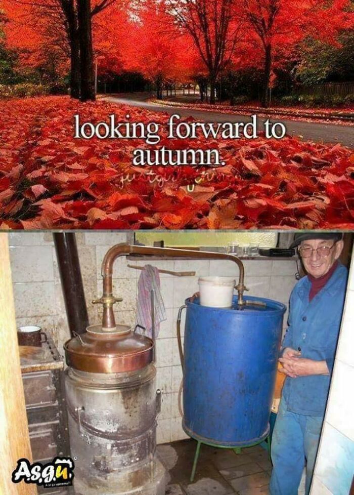 Autumn leaves and a homemade distillation setup with a man smiling, reflecting Eastern Europe culture and traditions.