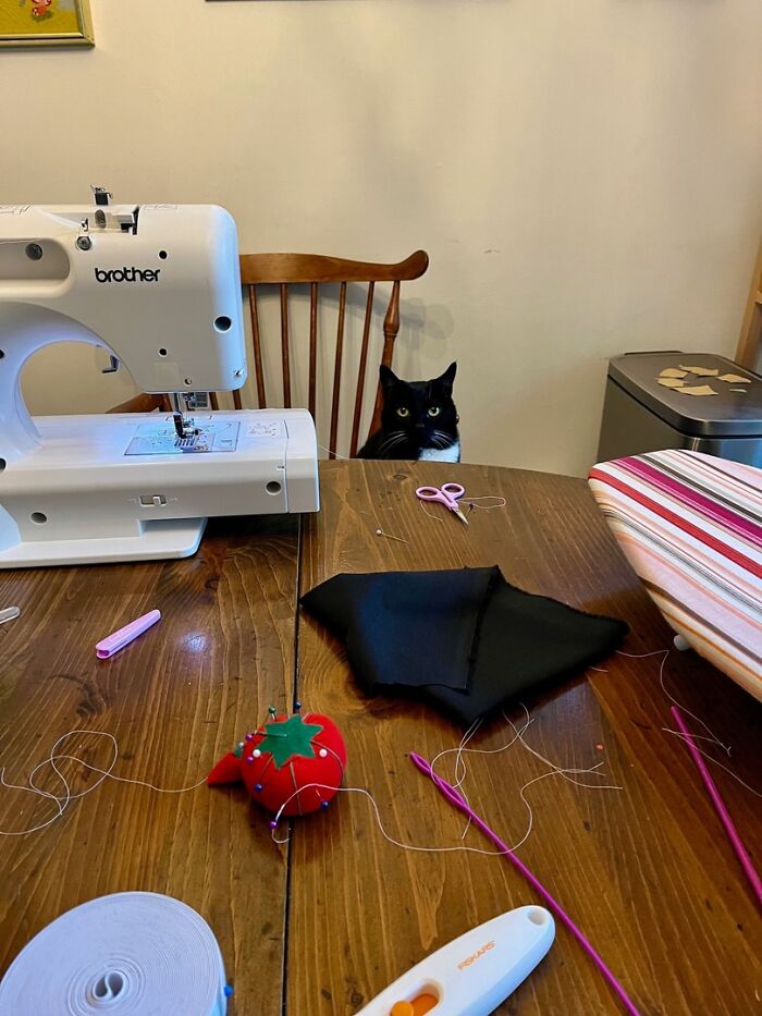 Adorable cat sitting behind sewing machine and fabric on wooden table, showcasing top-tier work in home crafting setup