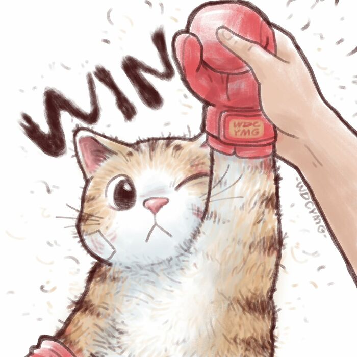 Cute cat illustration wearing red boxing gloves, raising a paw victoriously with the word win in the background.