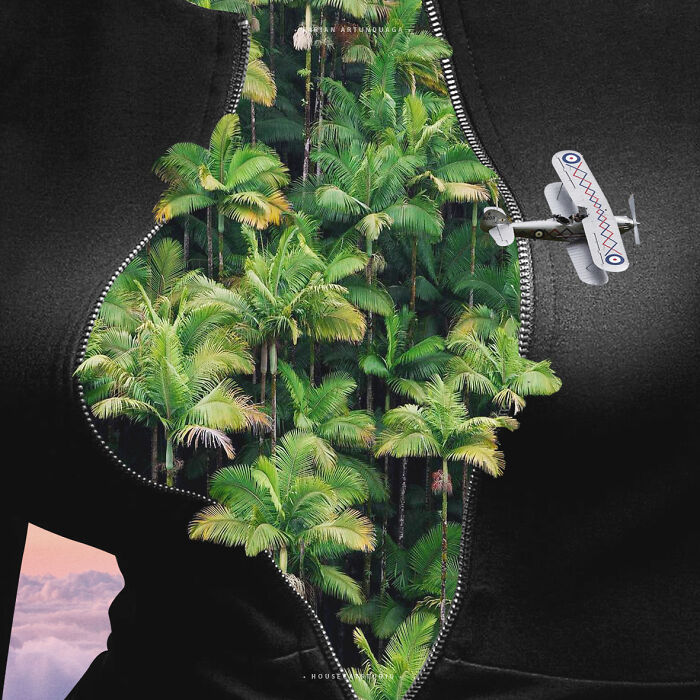 40 Nature Inspired Collages Tha Will Make Your Brain Hurt