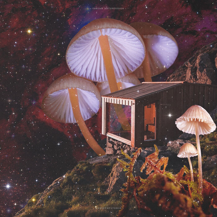 40 Nature Inspired Collages Tha Will Make Your Brain Hurt