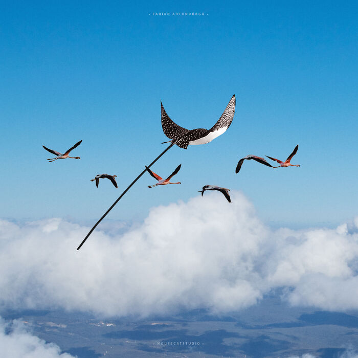 40 Nature Inspired Collages Tha Will Make Your Brain Hurt