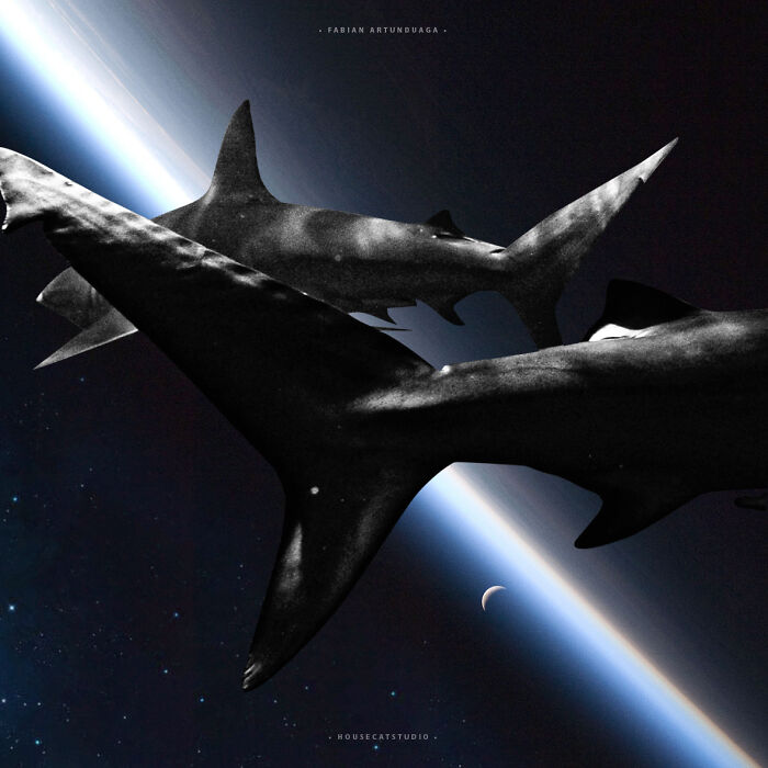 40 Nature Inspired Collages Tha Will Make Your Brain Hurt