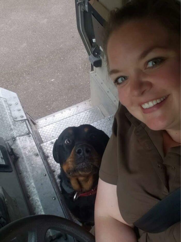 UPS driver smiling inside delivery truck next to an adorable Rottweiler dog on the steps, showcasing pet encounters.