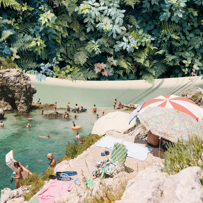 40 Nature Inspired Collages Tha Will Make Your Brain Hurt