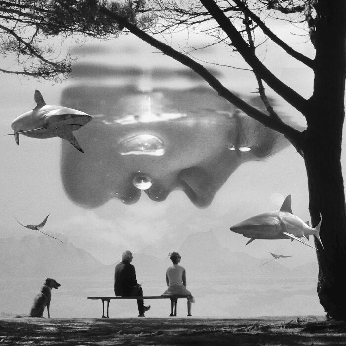 40 Nature Inspired Collages Tha Will Make Your Brain Hurt