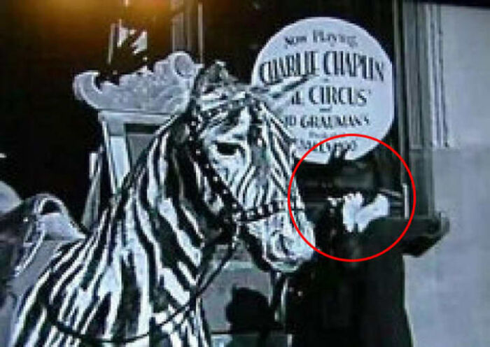 Black and white photo of a person behind a zebra, illustrating unusual scenes from photos with mysteries behind them.