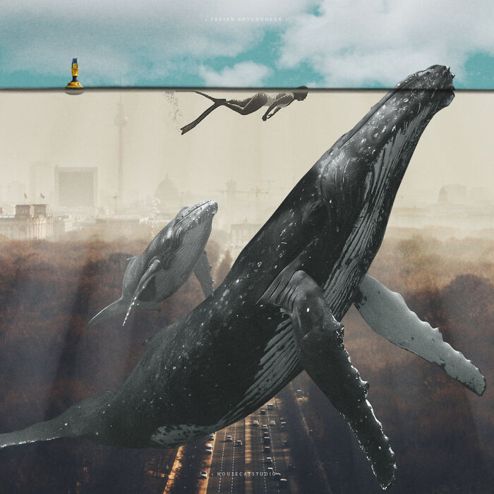 40 Nature Inspired Collages Tha Will Make Your Brain Hurt