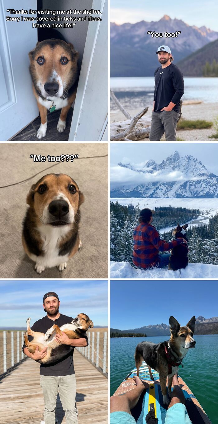 Compilation of best adoption pics featuring dogs and their new owners enjoying outdoor adventures together.