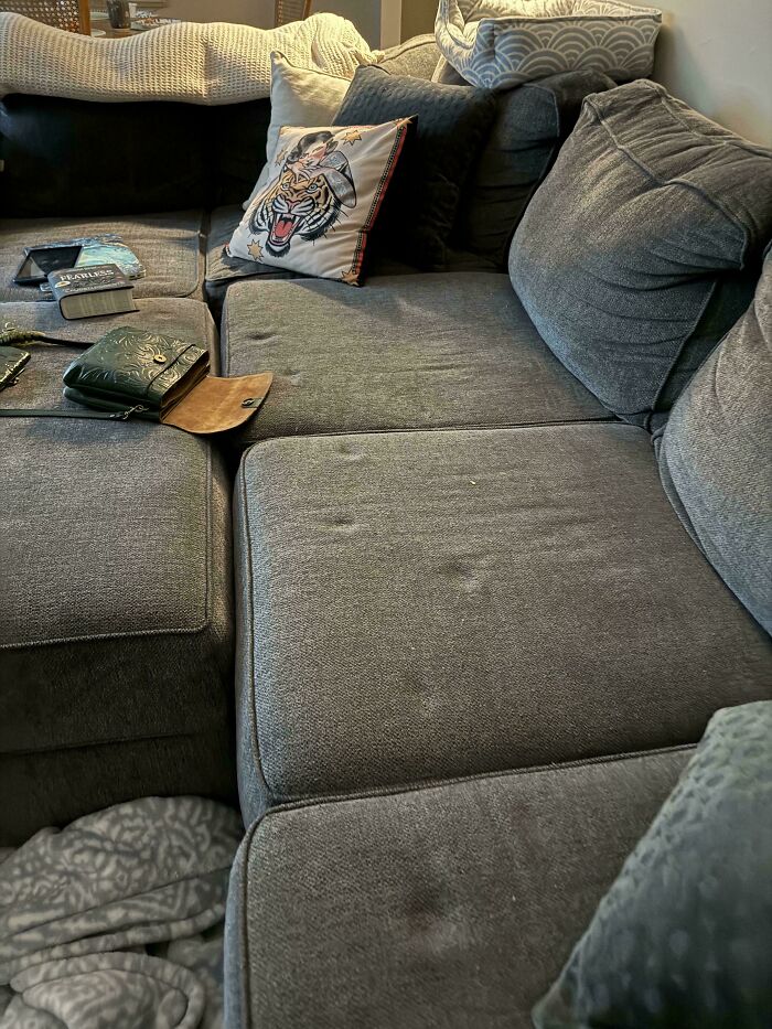 Gray couch cushions with several cute cat paw prints scattered, showing cats truly don’t care about the mess.