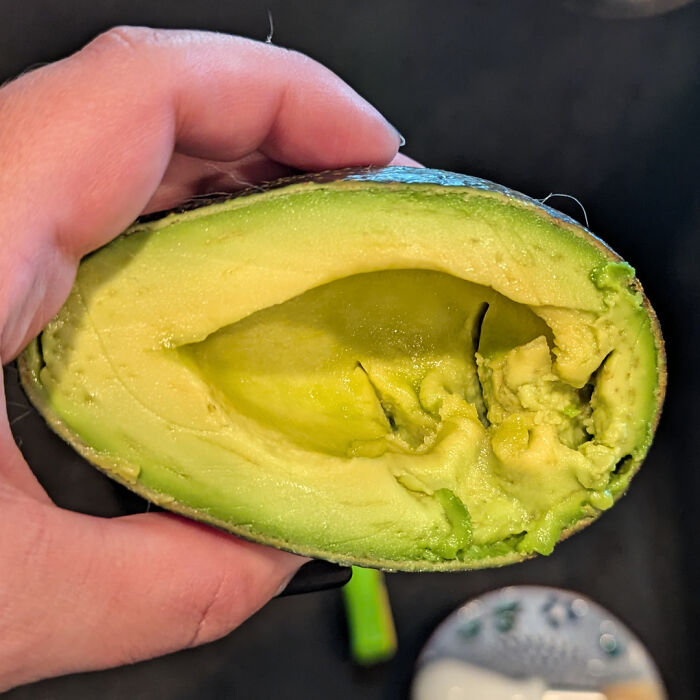Hand holding a half avocado with a partially removed pit, no visible cat paw prints in the image.