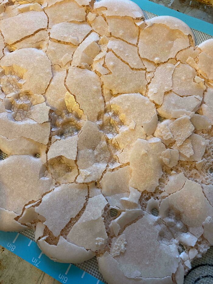Broken macaron shells with visible cat paw prints pressed into the delicate dessert texture on a baking mat.