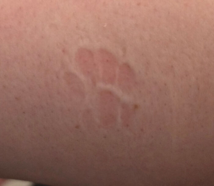 Faded cat paw print on skin showing a cute and subtle imprint of a cat paw print pattern.
