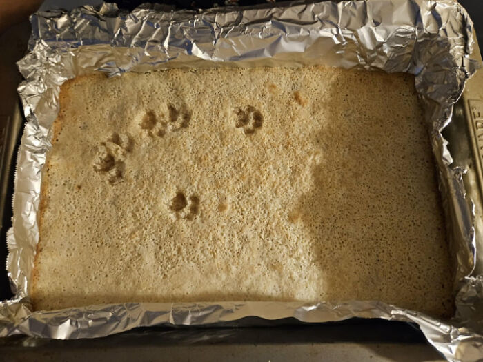 Baked dessert with cute cat paw prints imprinted on the surface in a foil-lined baking pan.