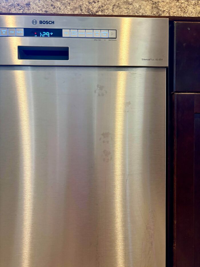 Cat paw prints on a stainless steel dishwasher door showing cute and playful feline behavior in a kitchen setting.