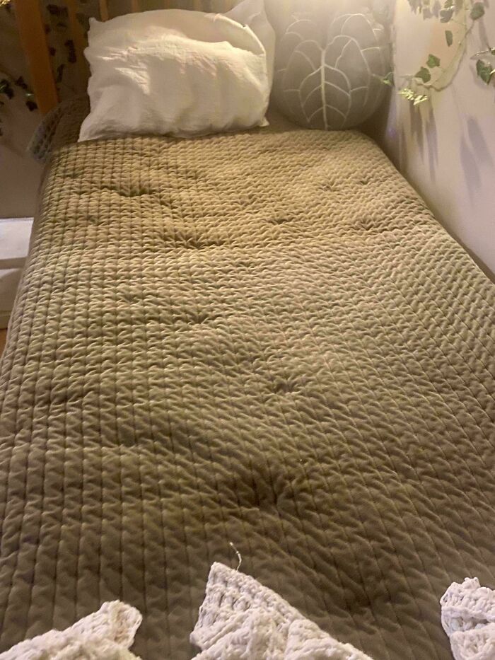 Bedspread with cute cat paw prints indented on the fabric, showcasing adorable cat paw marks on soft bedding.