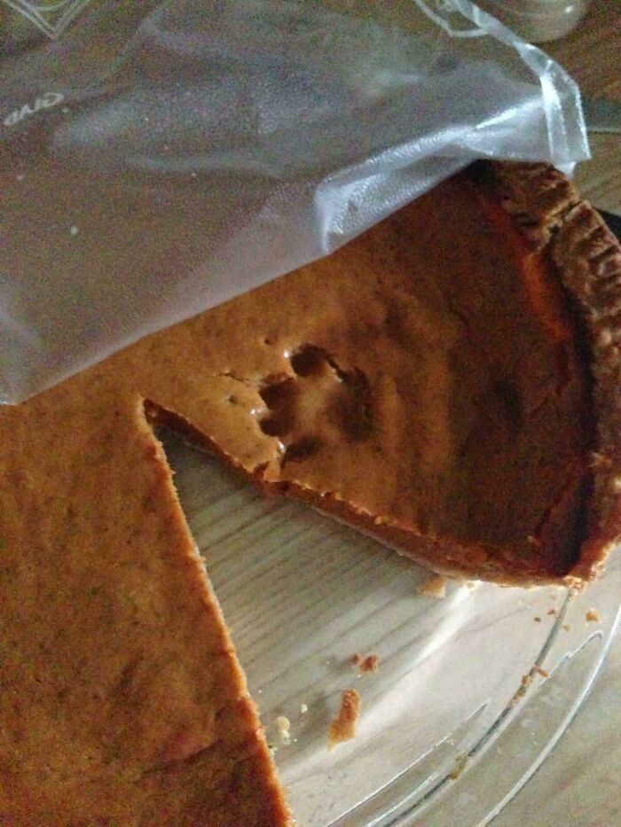 Huellas adorables de patas de gato impresas en un pastel de calabaza recién horneado sobre un plato de cristal.