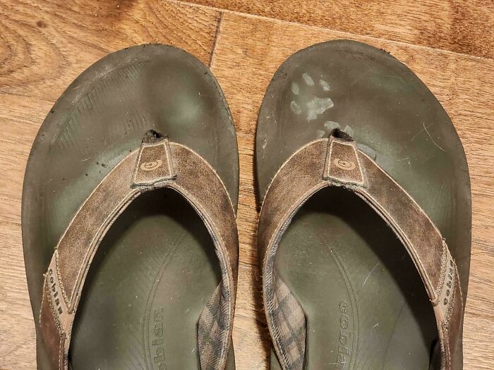 Worn sandals on wooden floor with a clear cute cat paw print on one sandal in close-up view.