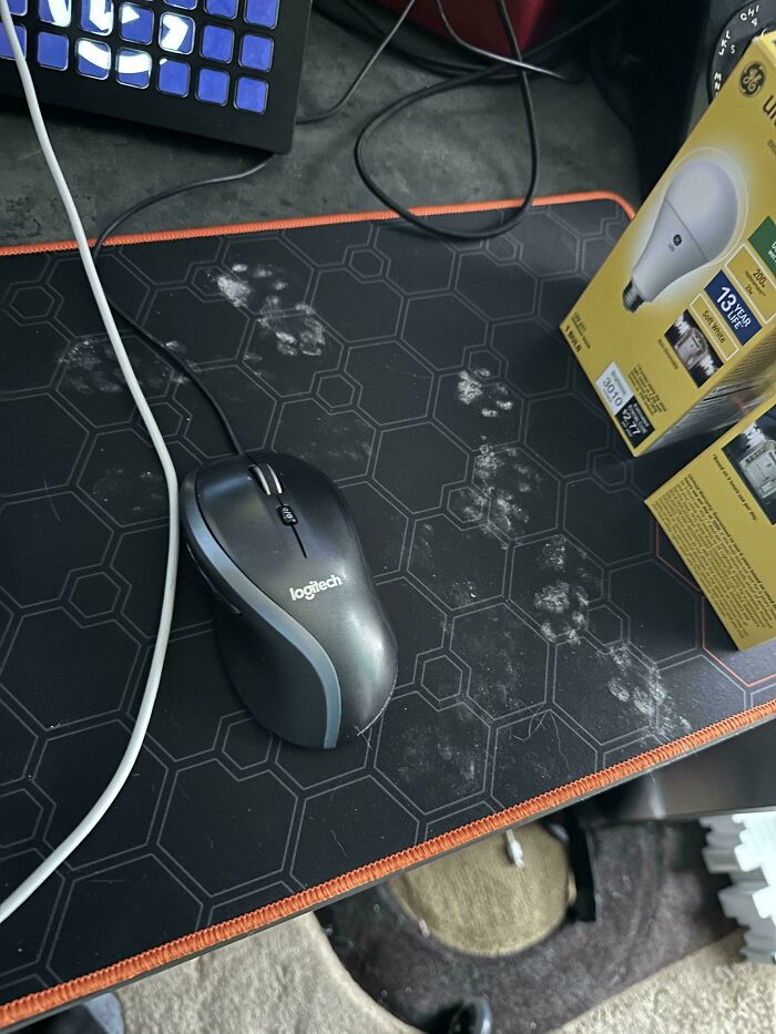 Cat paw prints in white dust trail across a black patterned mouse pad beside a computer mouse and light bulb box.