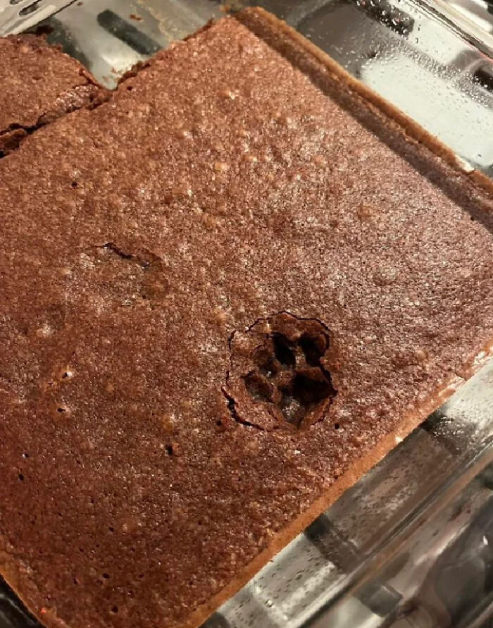 Huella adorable de pata de gato marcada en un bizcocho casero recién horneado en un molde de vidrio.