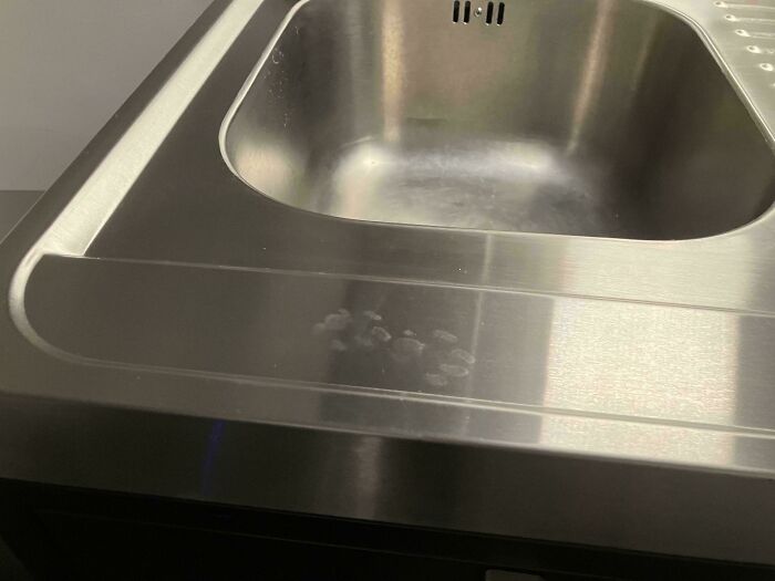 Faint cute cat paw prints visible on a stainless steel sink surface, showcasing adorable feline marks.