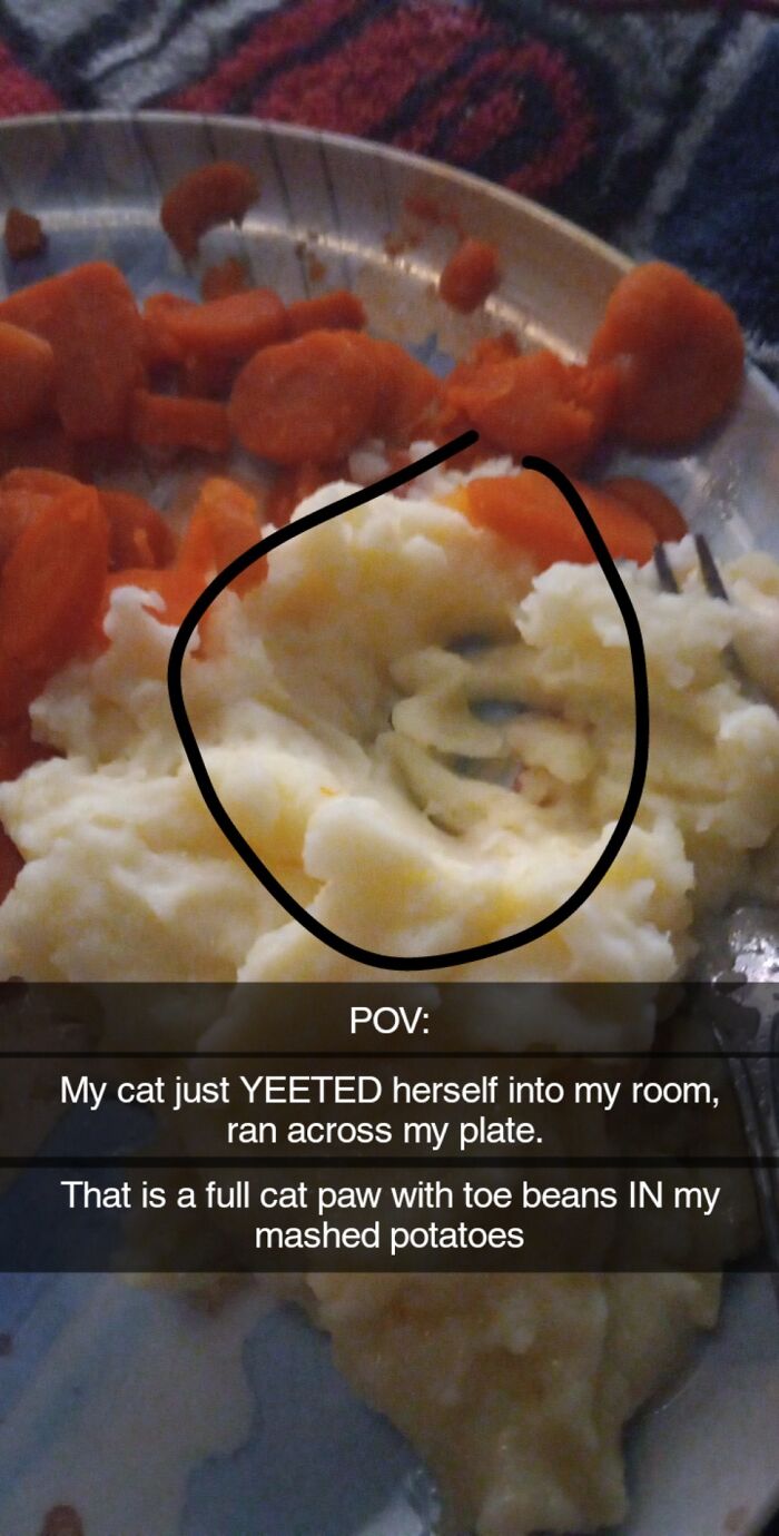 Mashed potatoes with a clear cat paw print showing toe beans, illustrating cute cat paw prints on food.