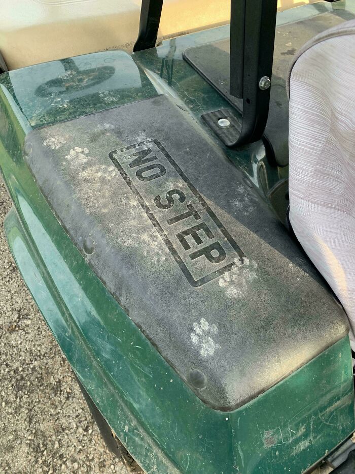 Huellas adorables de patas de gato marcadas en superficie sucia con señal de no pisar en carrito verde.
