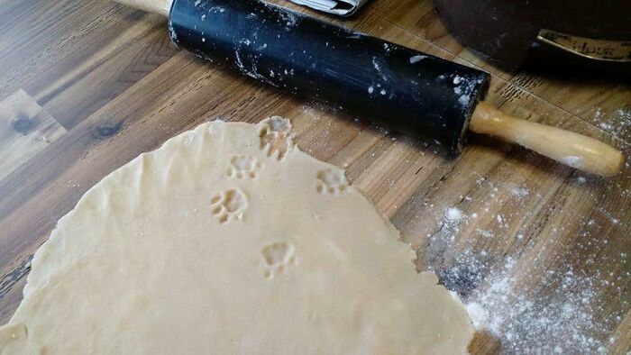 Cat paw prints imprinted on rolled-out dough on a wooden surface next to a flour-dusted rolling pin.