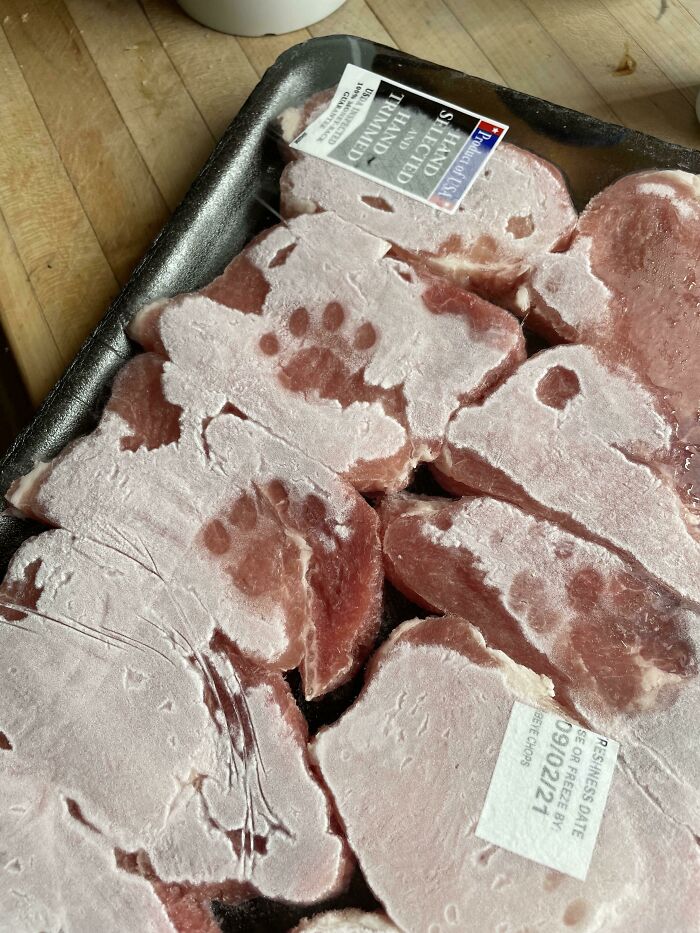 Frozen meat with cute cat paw prints visible on the surface, highlighting adorable cat paw prints on frozen food.