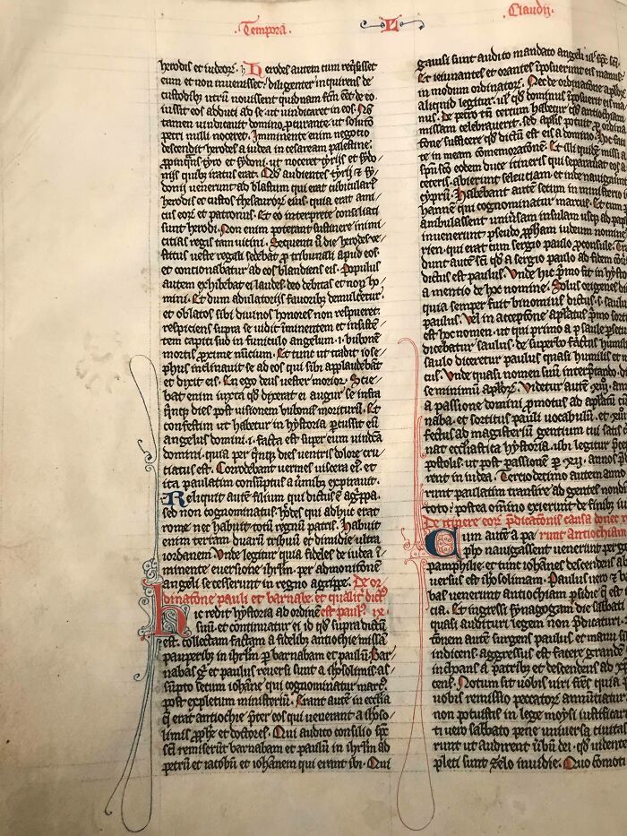 Faint cute cat paw prints on an ancient manuscript page, blending history with feline charm.