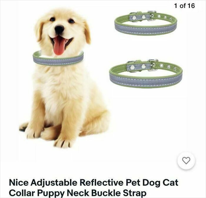 Golden retriever puppy with a floating collar around its neck showcasing a Photoshop fail in pet product images.