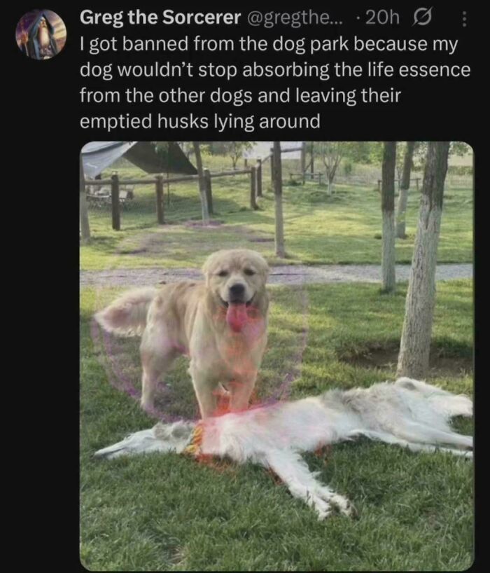 Spot: The Most Vampiric Of Goodest Boys