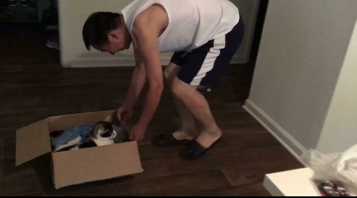 Man bending to pet a cat inside a cardboard box, showing dads who said no pets becoming total softies.