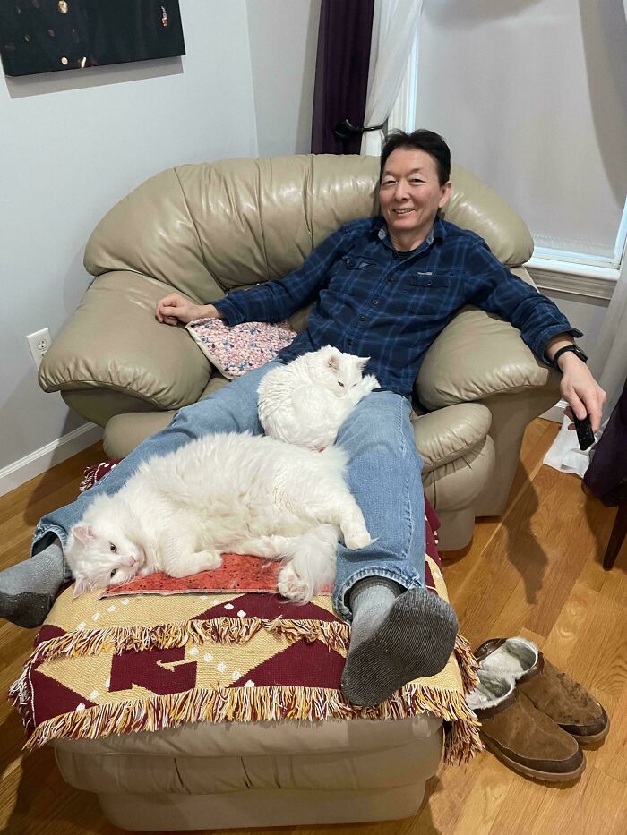 Man relaxing on a couch with two white cats, showing dads who said no pets and became total softies.