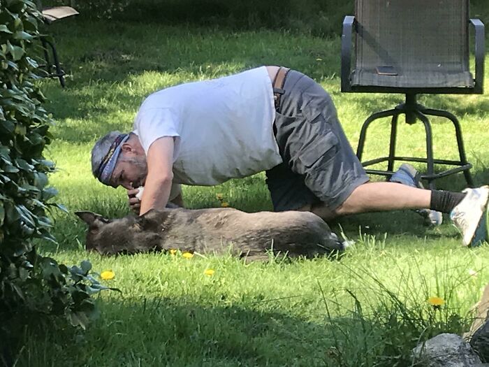 Man kneeling on grass playing gently with pet dog, showing dads who became total softies with pets outdoors.