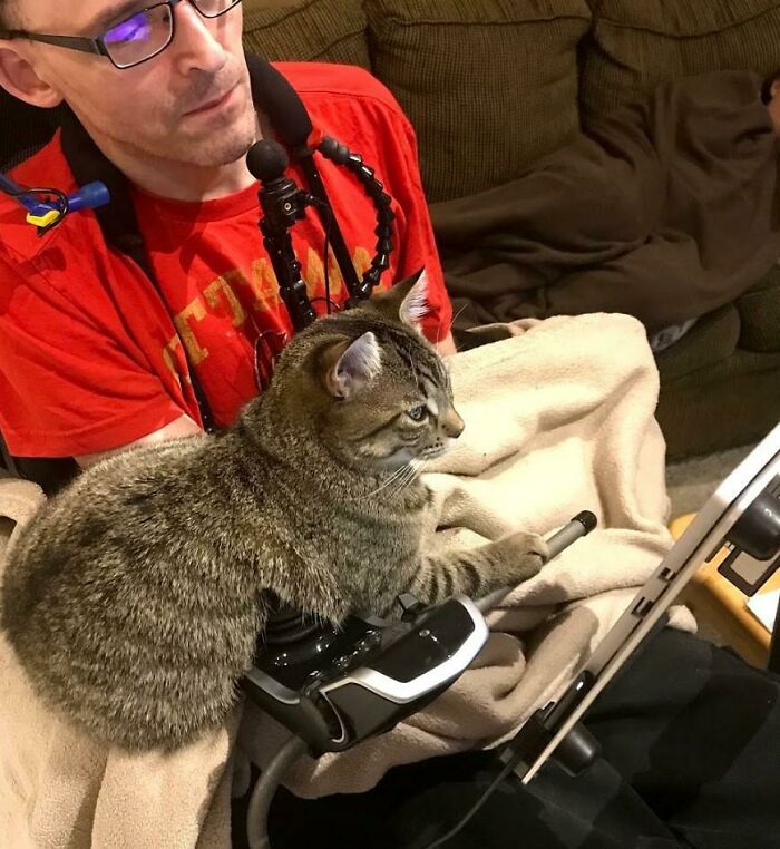 Man with assistive device sitting on couch with a tabby cat on his lap, showing dads who said no pets becoming softies.