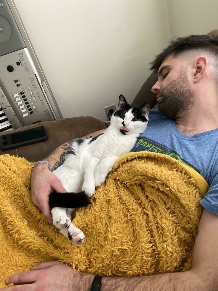 Man who once said no pets cuddling a black and white cat wrapped in a yellow blanket while resting on a couch.