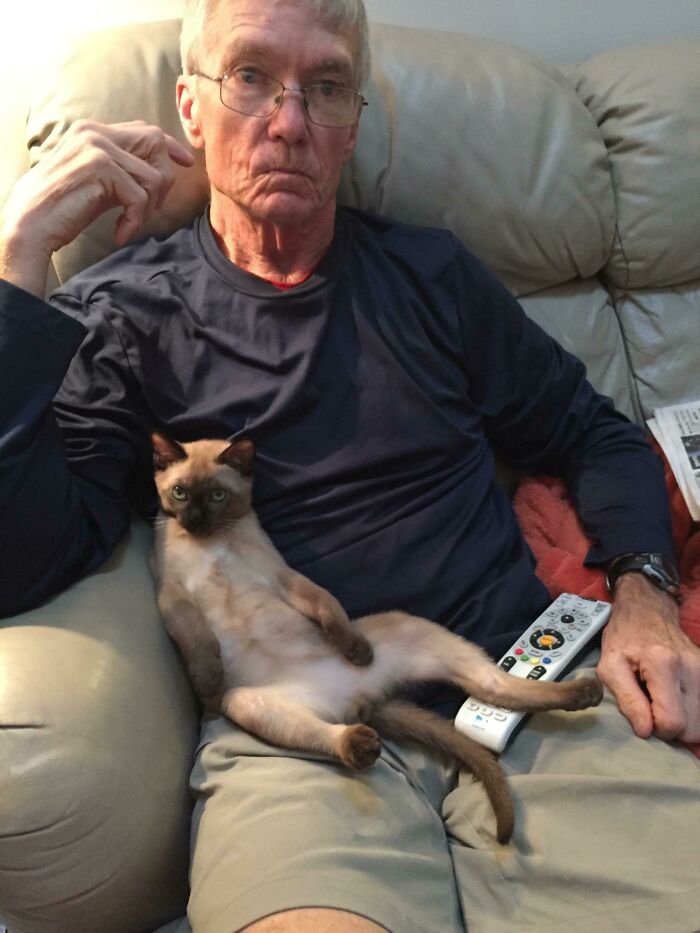 Older dad sitting on a couch with a relaxed cat on his lap, showing dads who said no pets becoming total softies.