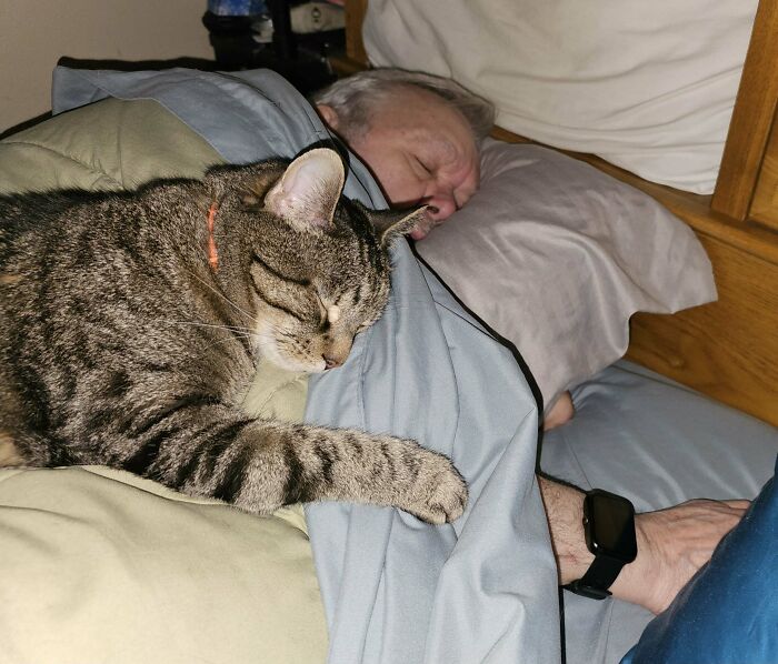 A dad sleeping peacefully in bed with a tabby cat cuddled up beside him, showing pet love and soft side.