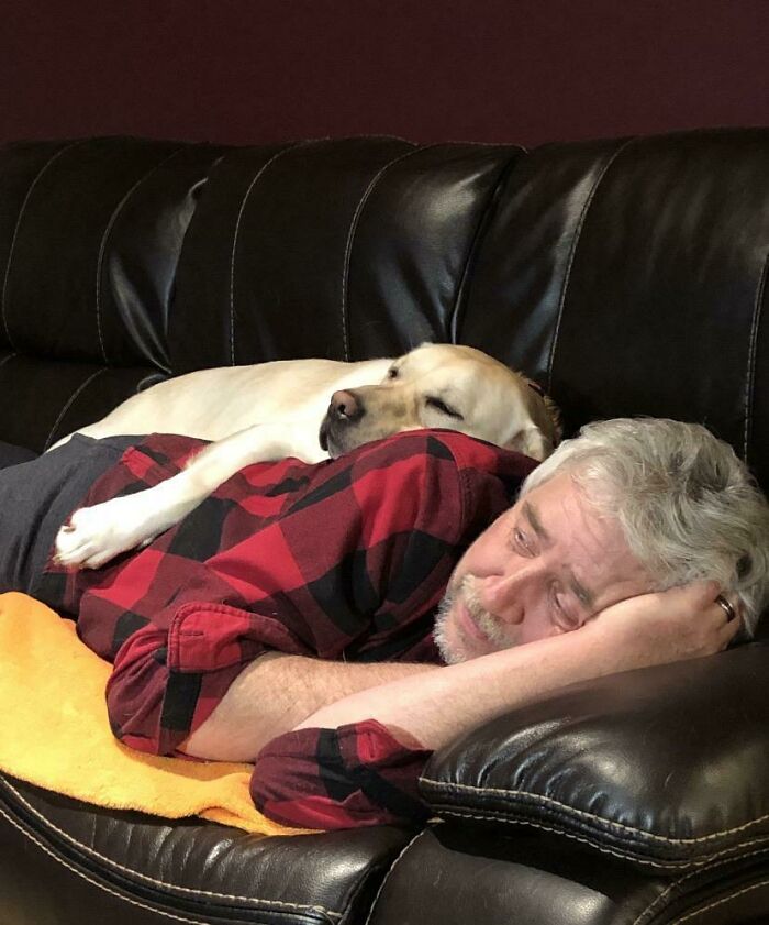 Man and dog napping together on a couch showing dads who said no pets but became softies.