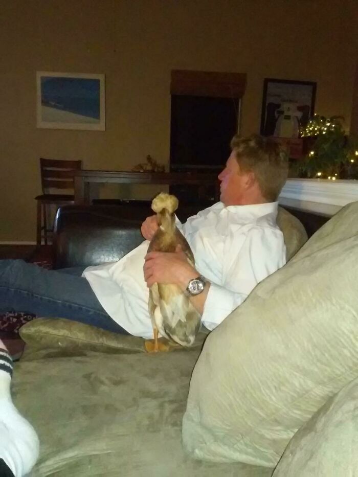 Man relaxing on couch holding a pet duck, showing dads who said no pets and became total softies at home.